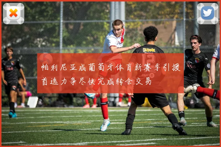 帕利尼亚成葡萄牙体育新赛季引援首选力争尽快完成转会交易