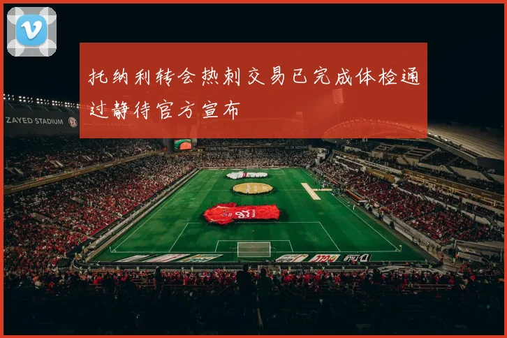 托纳利转会热刺交易已完成体检通过静待官方宣布