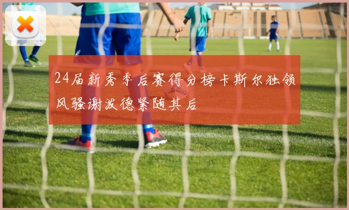 24届新秀季后赛得分榜卡斯尔独领风骚谢泼德紧随其后